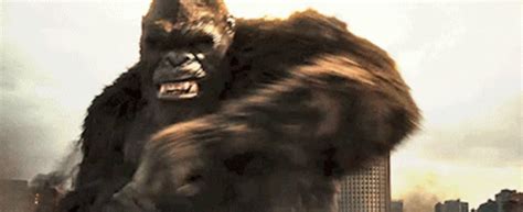 Godzilla Vs Kong Gifs. Favorite. [10+] Epic Battles Unleashed: Witness the Earth-shattering clash between two colossal titans as Godzilla and Kong go head to head in heart …